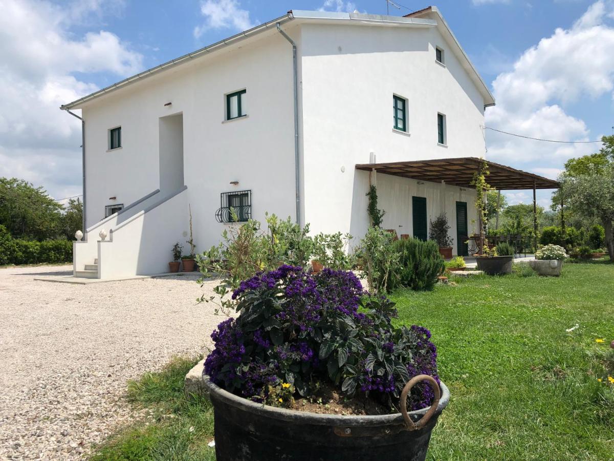 Casa Agricola Scorziello Villa Serre  Luaran gambar