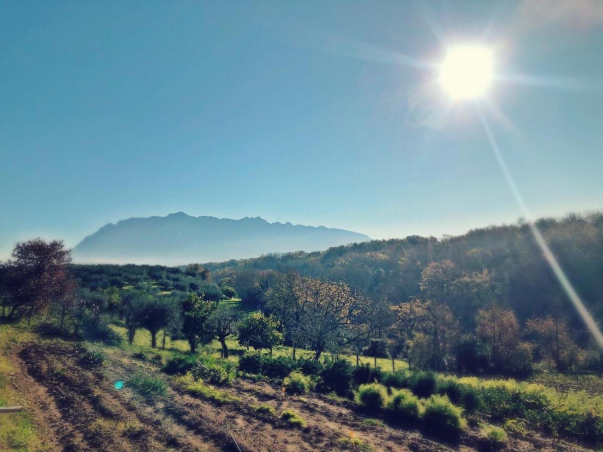 Casa Agricola Scorziello Villa Serre  Luaran gambar