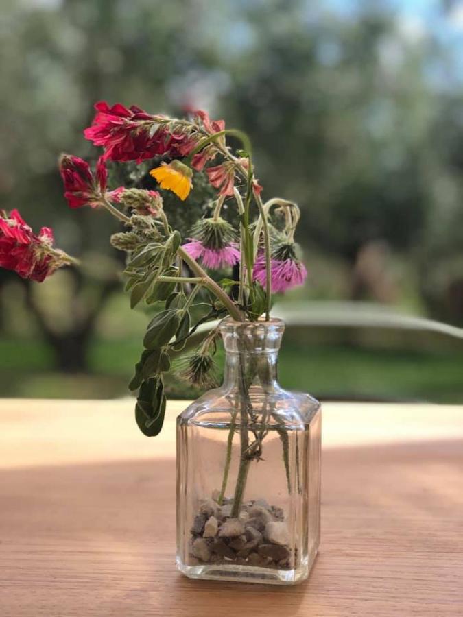 Casa Agricola Scorziello Villa Serre  Luaran gambar