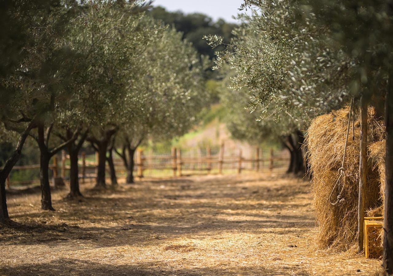 Casa Agricola Scorziello Villa Serre  Luaran gambar